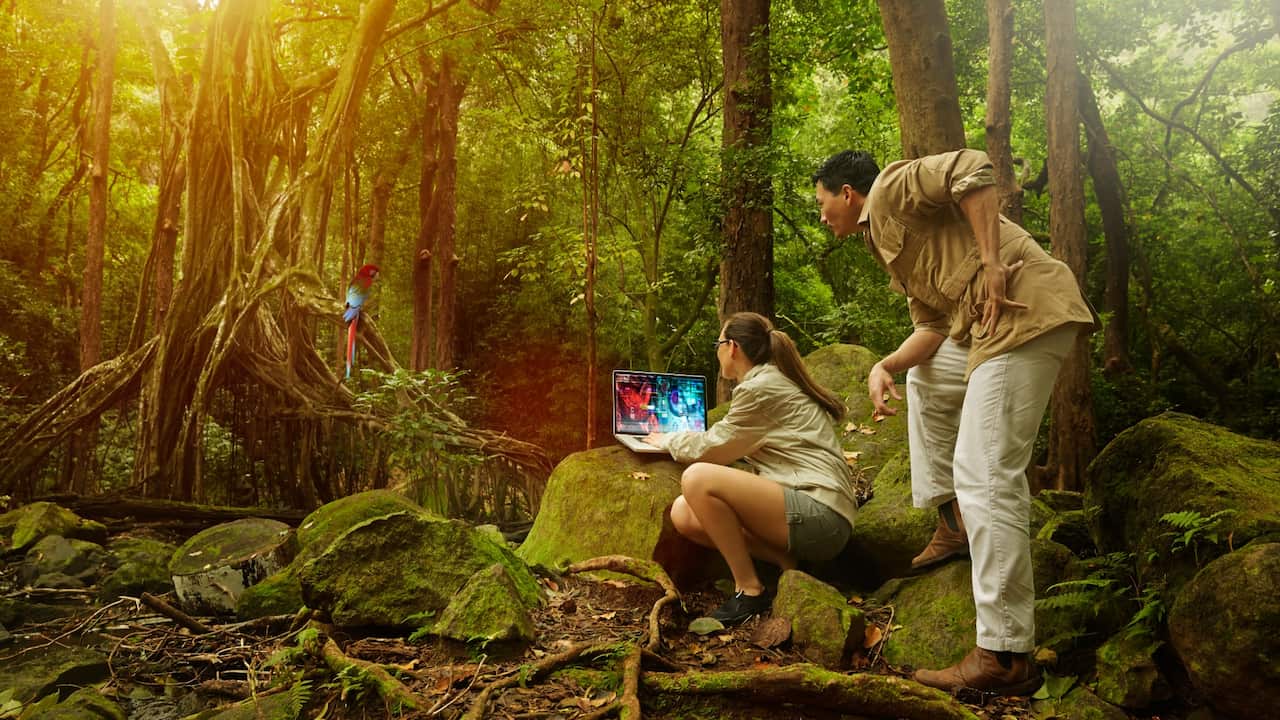 Researchers working in rainforest 