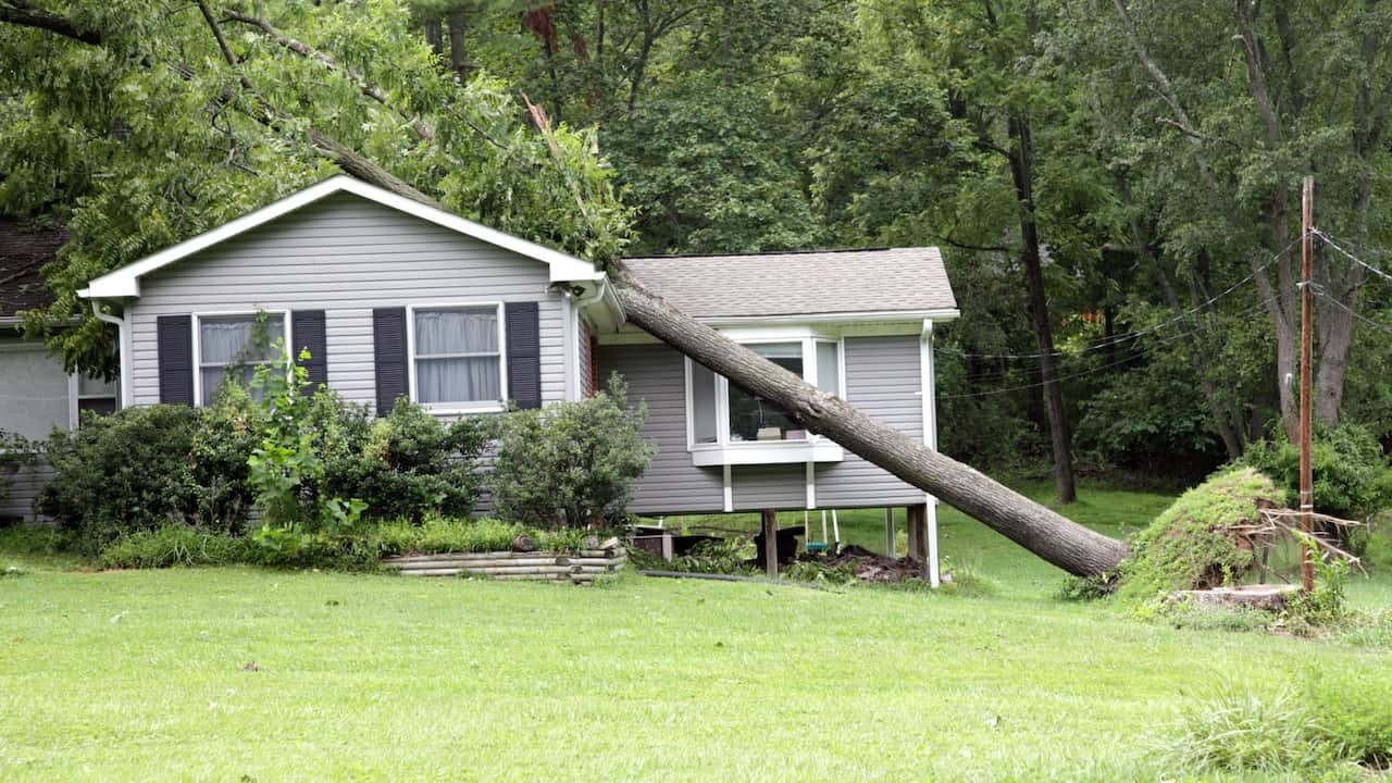 For storm and flood assistance, call the State Emergency Service (SES).