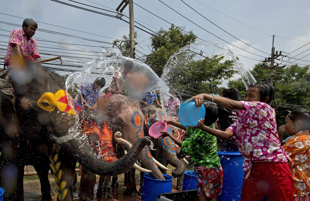 Elephants at Songkran celebrations