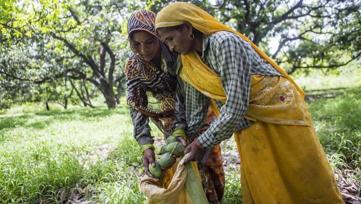 Rich Landholders Reap Billions From Tax Loophole Meant For India's Poor