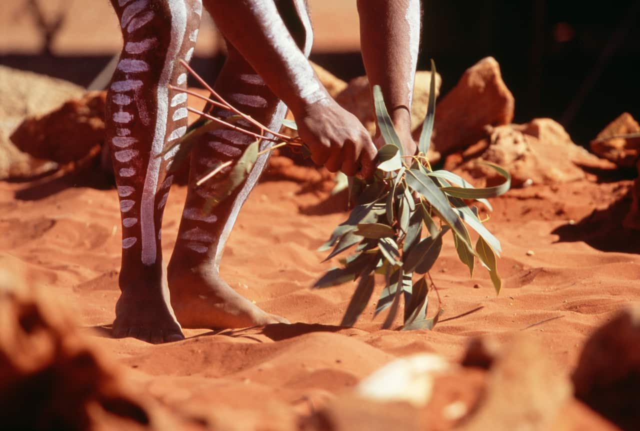Aborigine dancing in ritualmedicine dance.