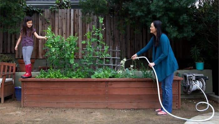 家居種植如何選擇適當肥料？