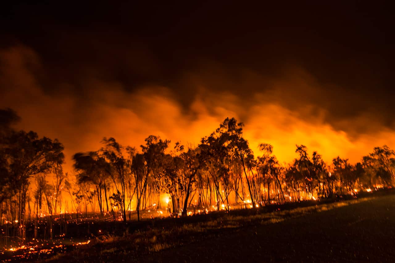 A Bushfire Or Wildfire Burning In Outback Australia