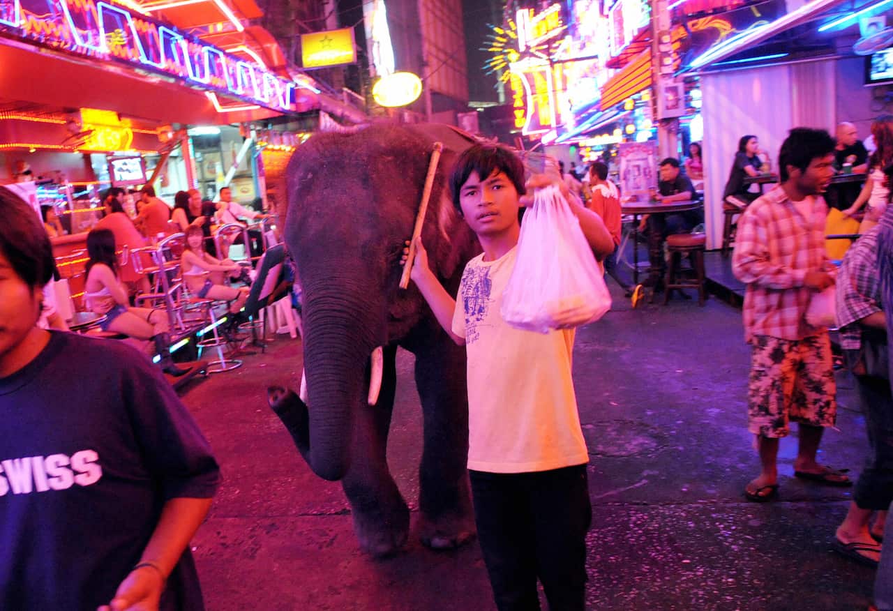 Elephant in the redlight district