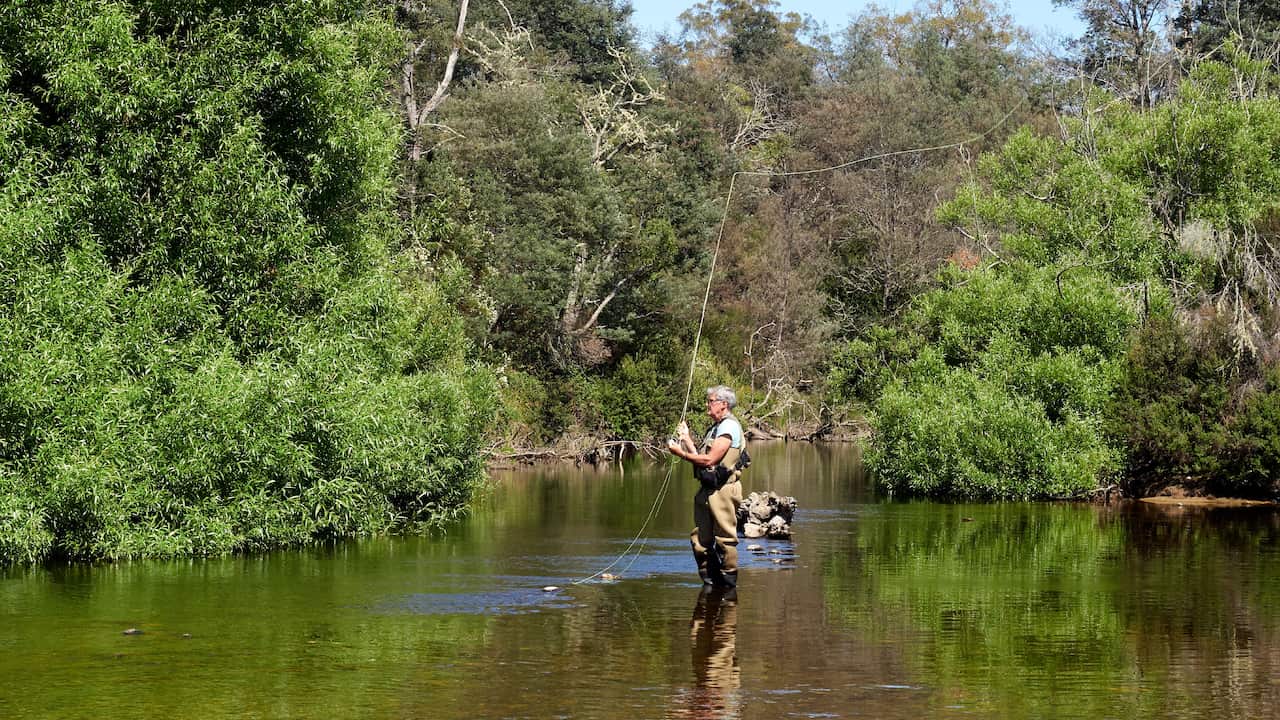 Fly Fishing South Esk River Tasmania