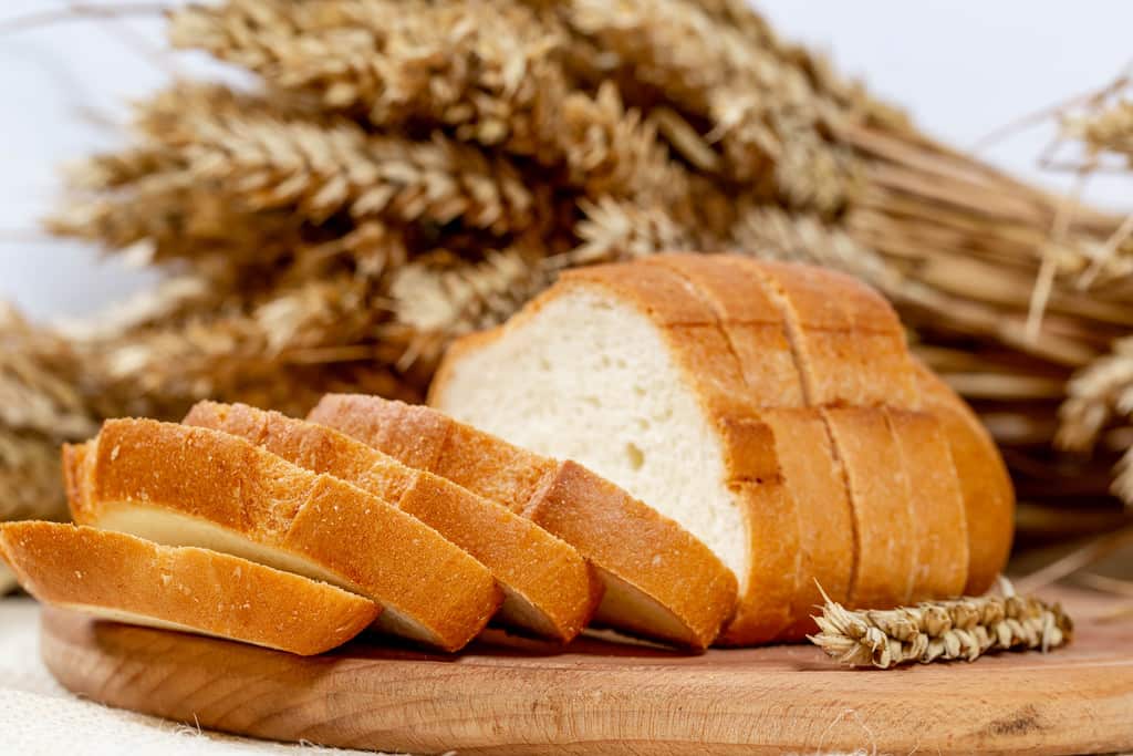 Gluten bread