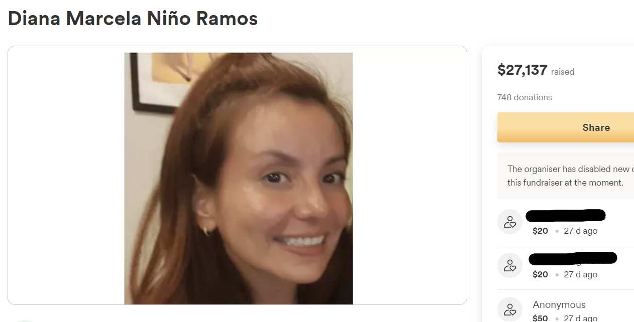 Screenshot de la campaña de Gofundme de Diana Marcela.