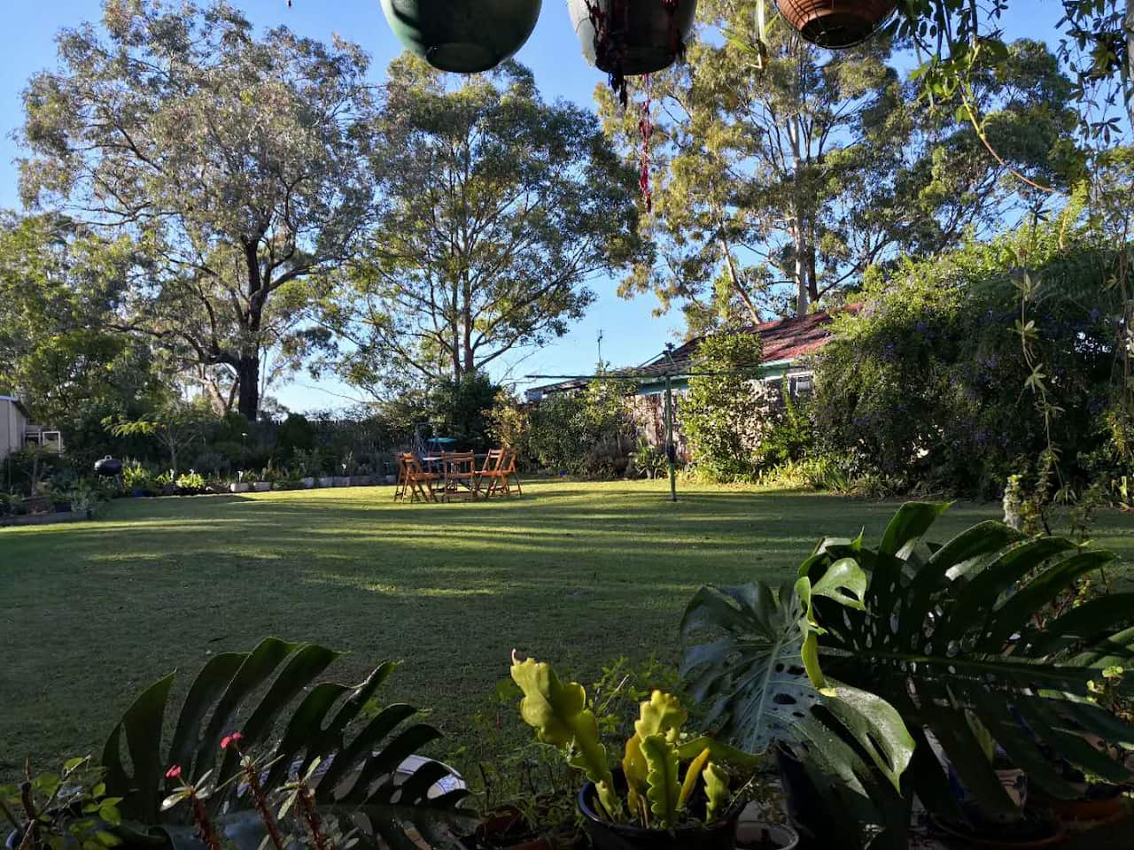 Grace love her garden