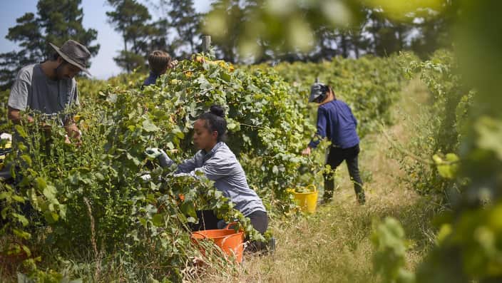 Seasonal farmworkers