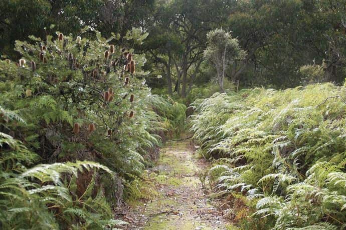 Great Otway National Park