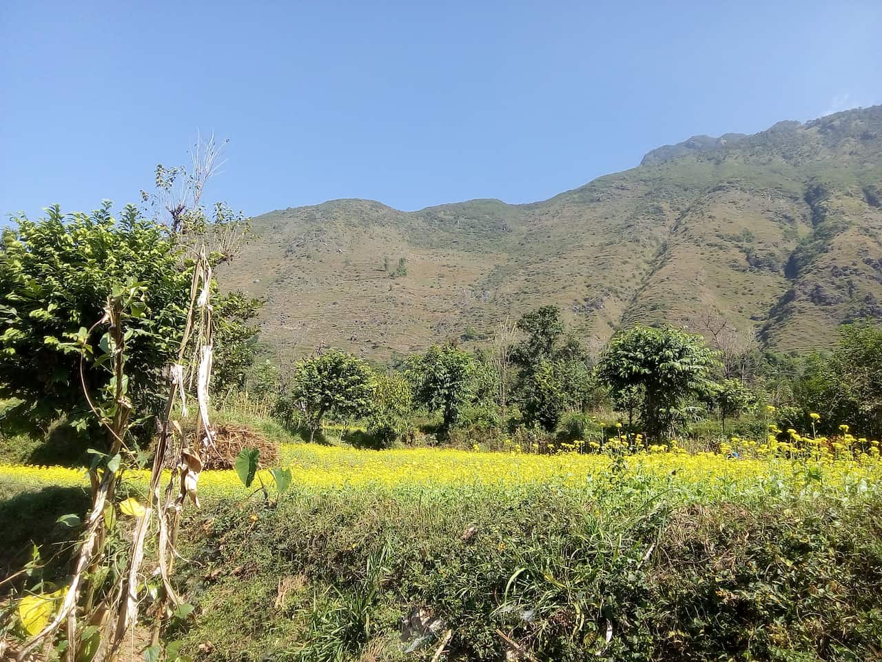 Limgha - A Village Gulmi, Nepal