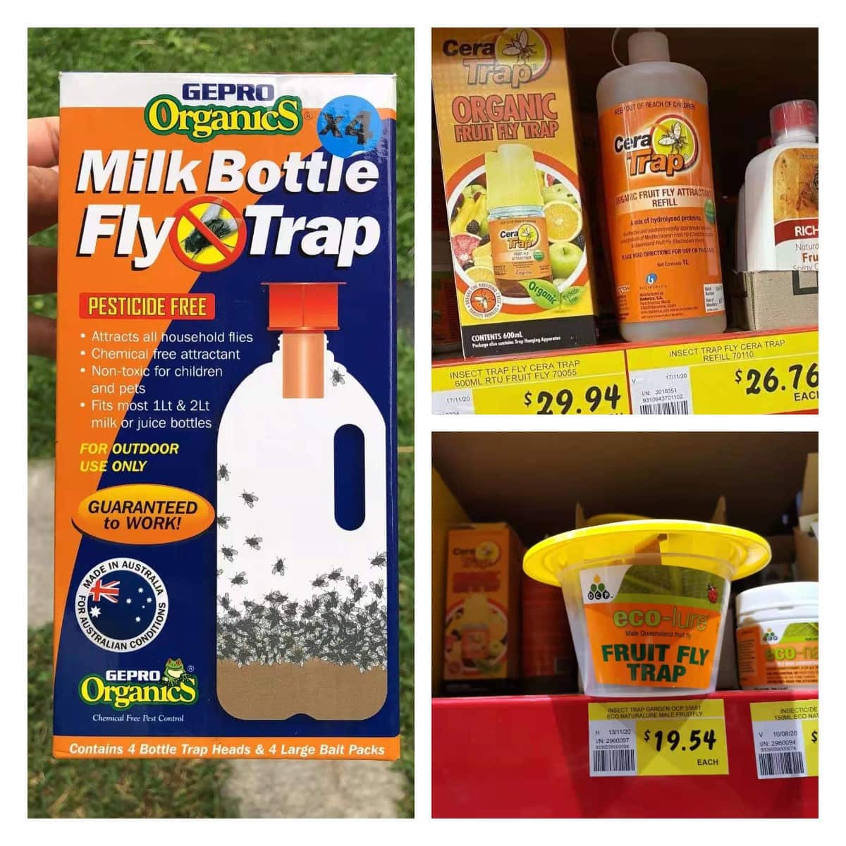 几种可在店里买到的果蝇陷阱