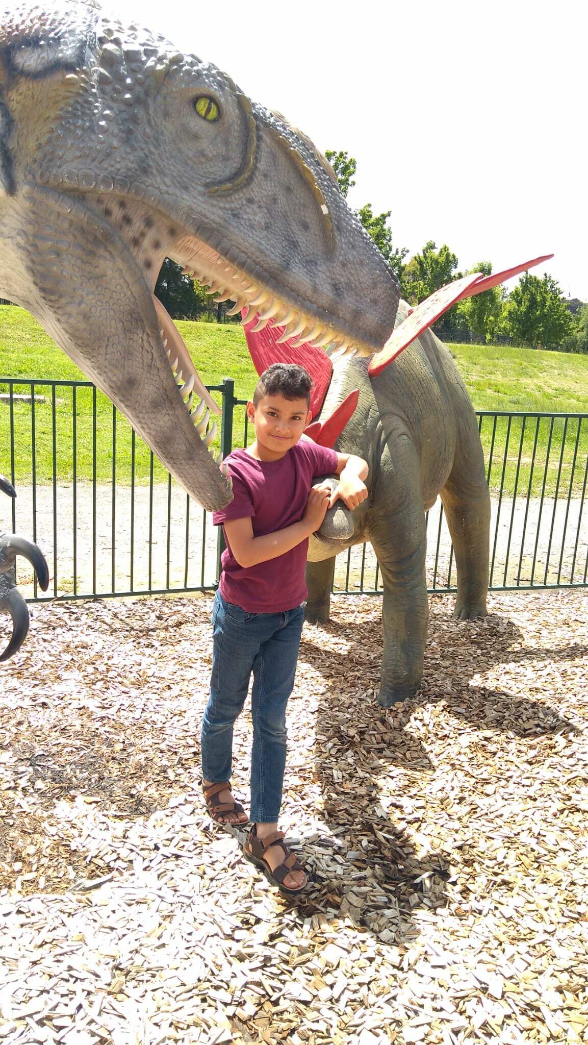 Habib, Afghan evacuee.