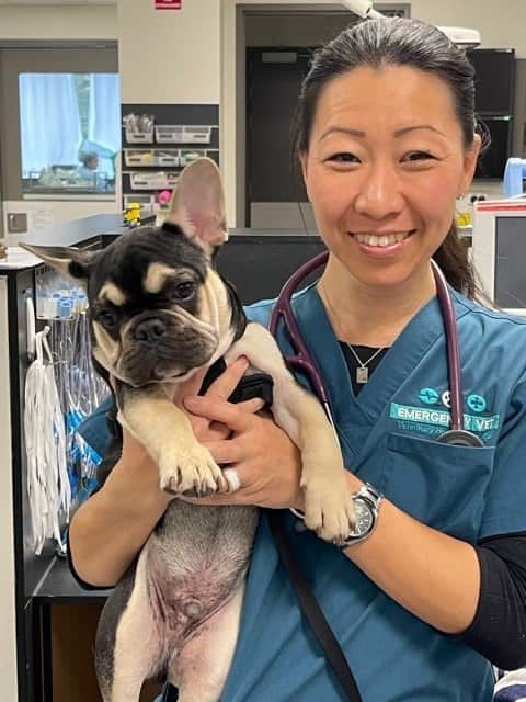 Japanese Vet Hana Ogawa