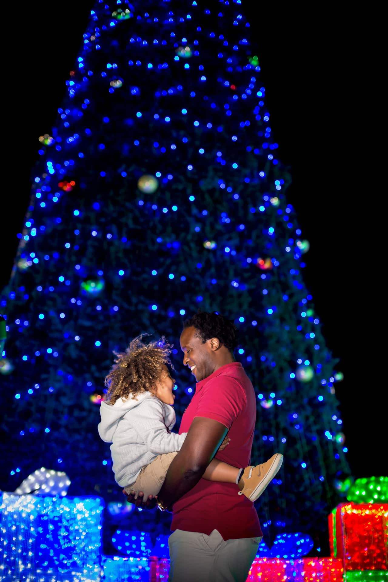 Christmas Lights Spectacular