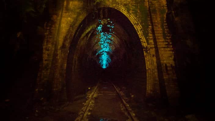 Glow worms Tunnel
