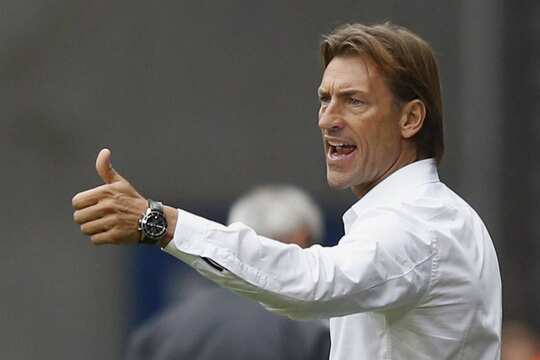 Renard Herve
