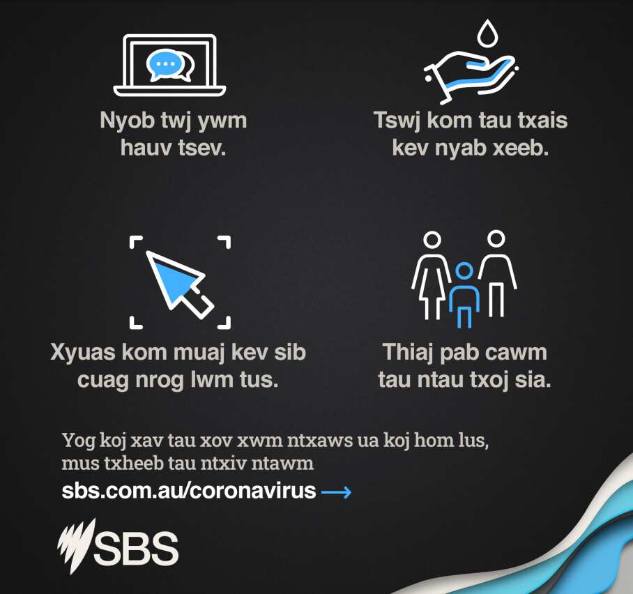 Hmong infographic (SBS)