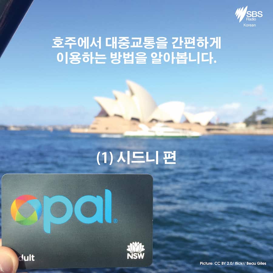 Card News: Planning your trip with Opal card in Sydney