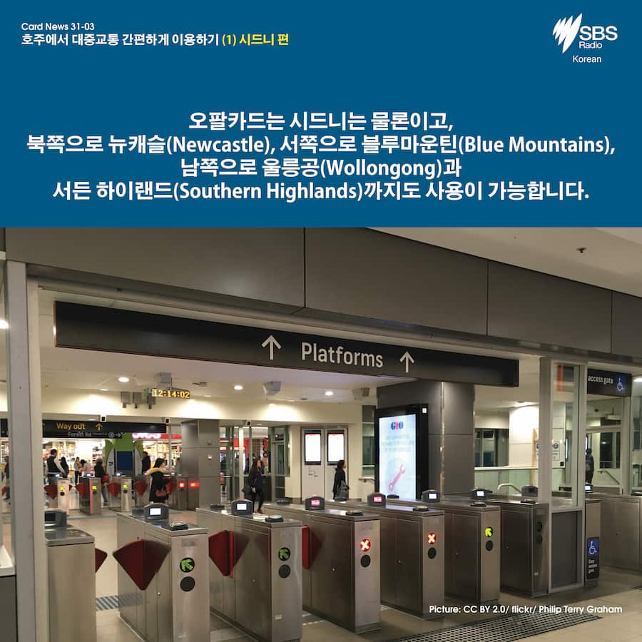 Card News: Planning your trip with Opal card in Sydney