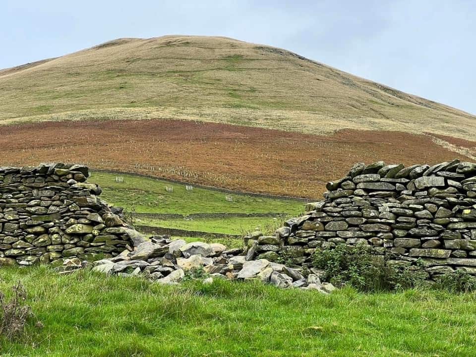 Hùng Nguyễn trong nhóm đi bộ COP26