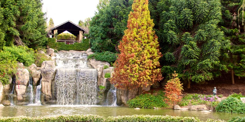 Hunter Valley gardens