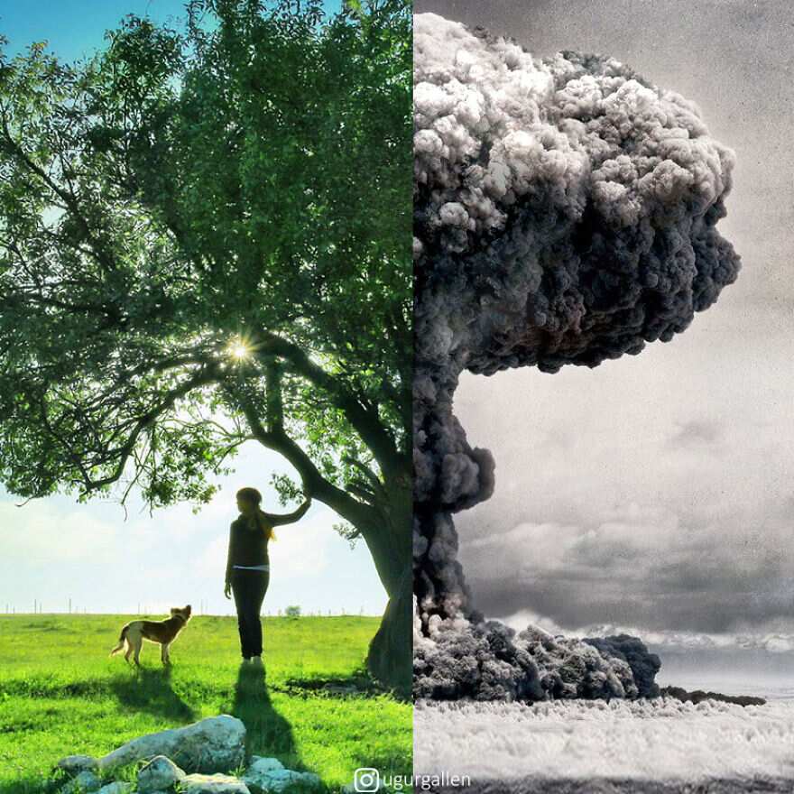 The contrast