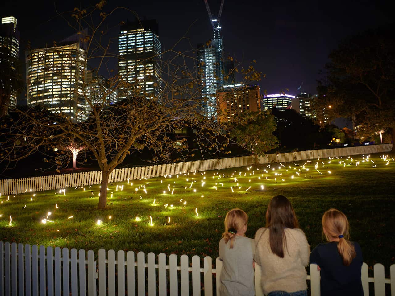 Firefly Field, Royal Botanic Gardens