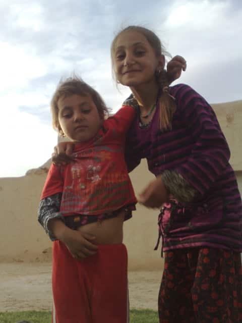 Iman and Viyan in 2014. 