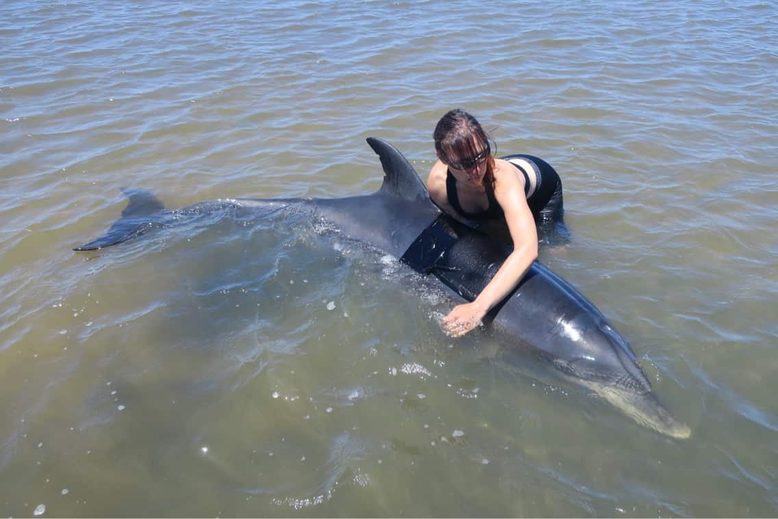 Valeria Senigaglia with a dolphin.