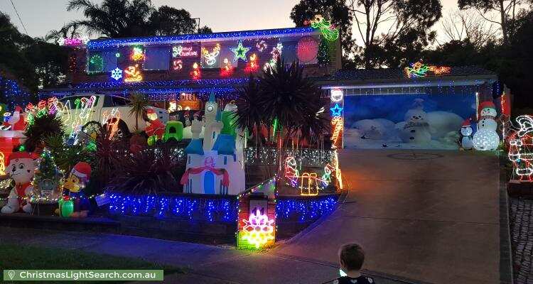 christmaslightsearch