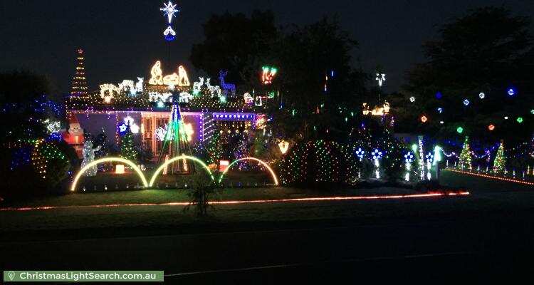 christmaslightsearch