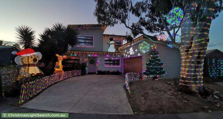 christmaslightsearch