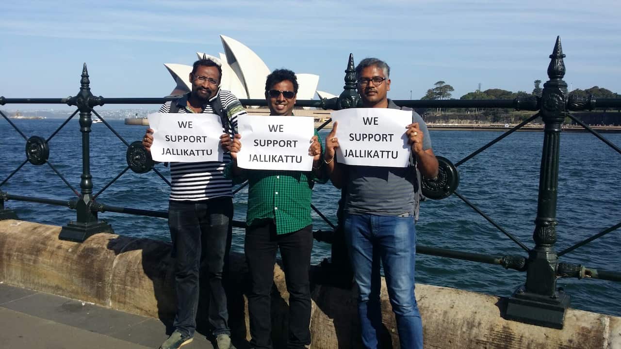 Jallikattu protesters in Sydney
