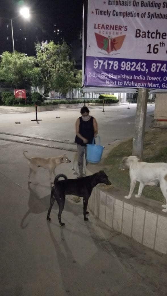 People helping animals