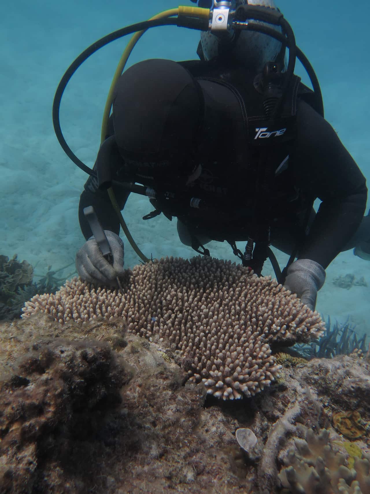 Andrea Severati working on the Great Barrier Reef 