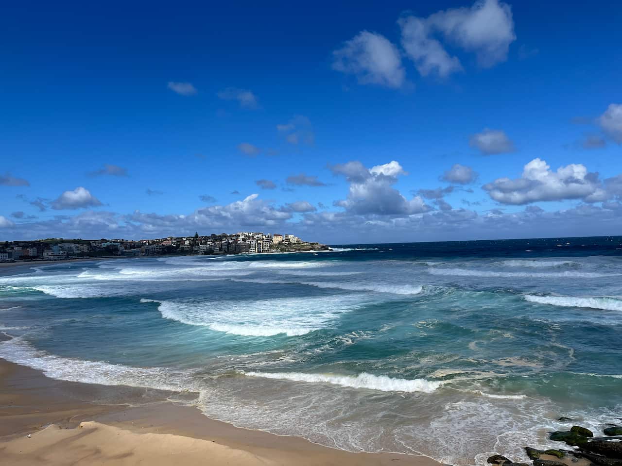 Bondi Beach
