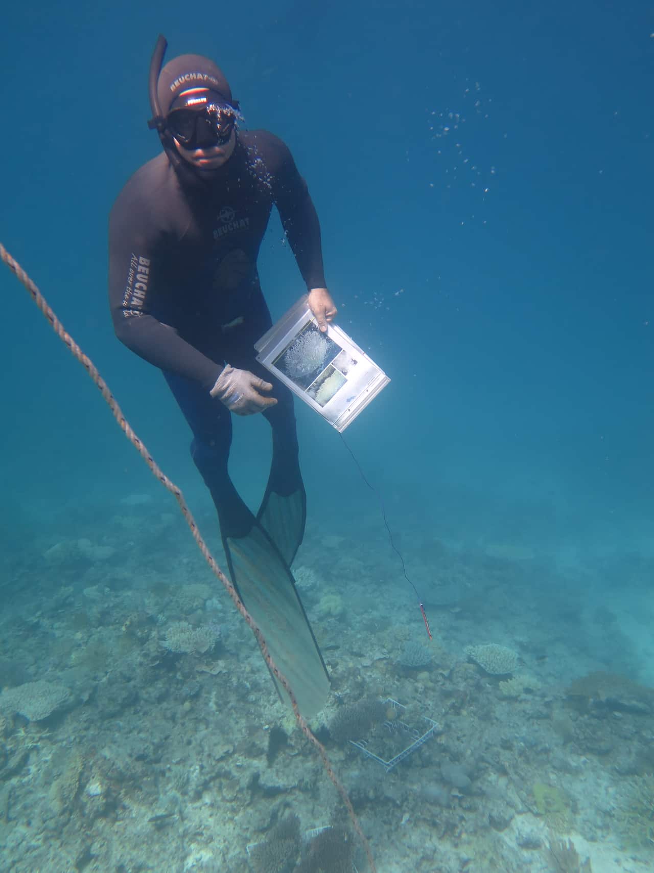 Andrea Severati sulla Barriera Corallina