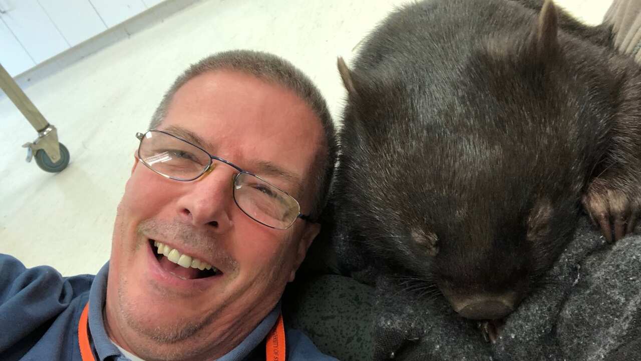 Courtesy of Dr Lorenzo Crosta