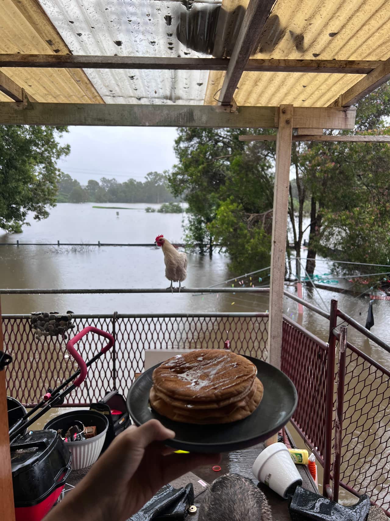 Queensland flood 2022