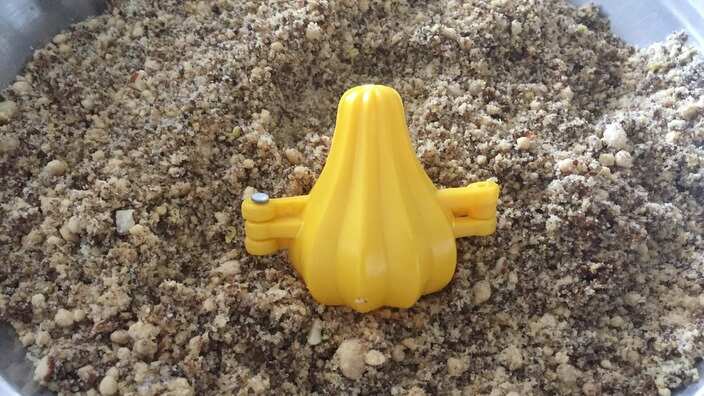 Modak
