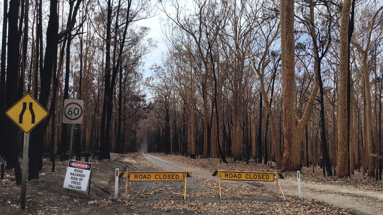 Bushfire NSW South Coast