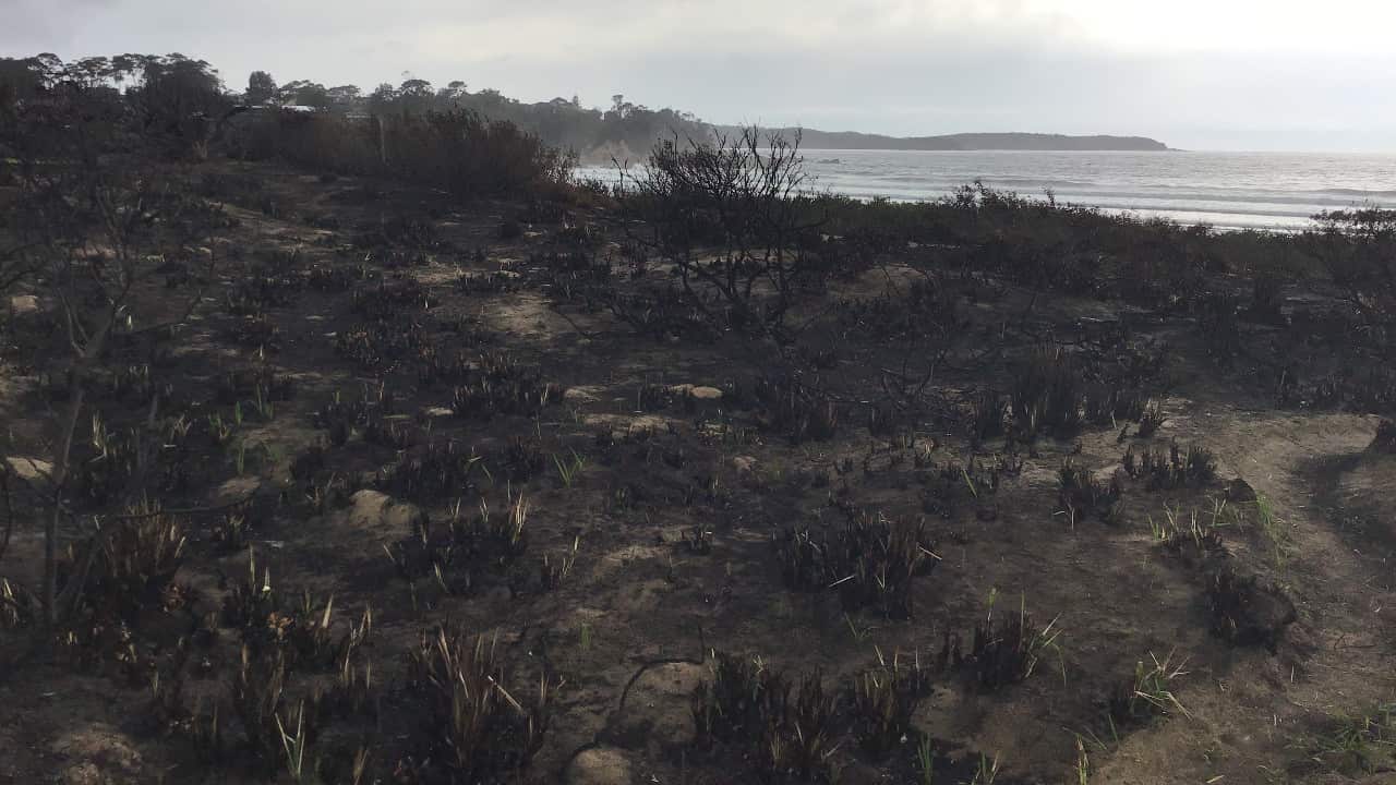 Bushfire NSW South Coast