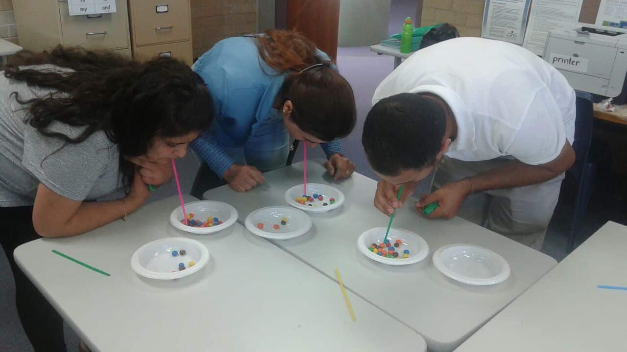 Yazidi Refugees arriving in Wagga Wagga