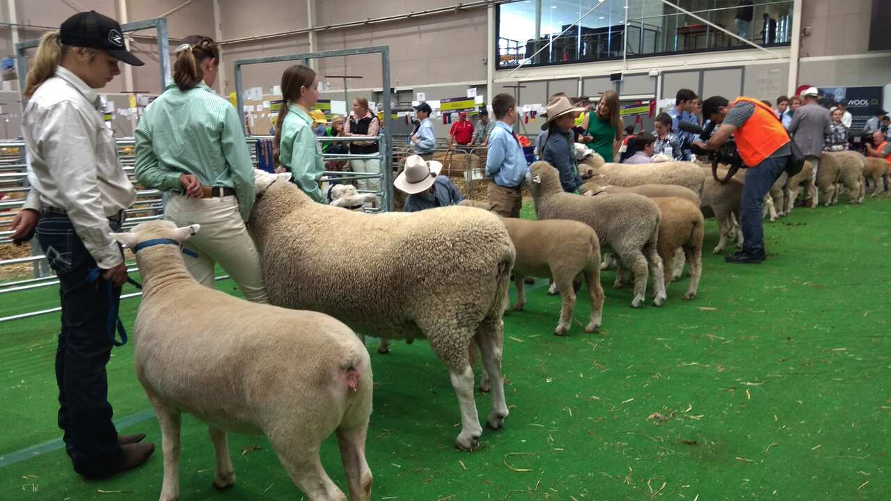 Sydney Royal Easter Show 2018