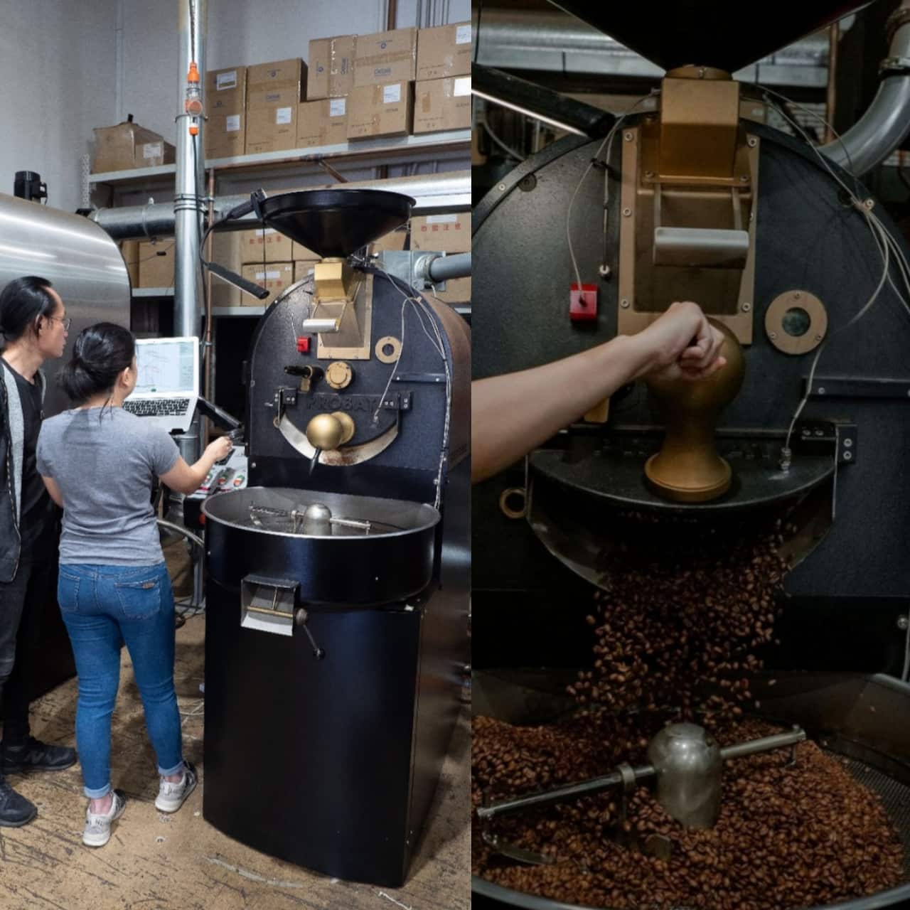 Coffee belt, filipino coffee, coffee