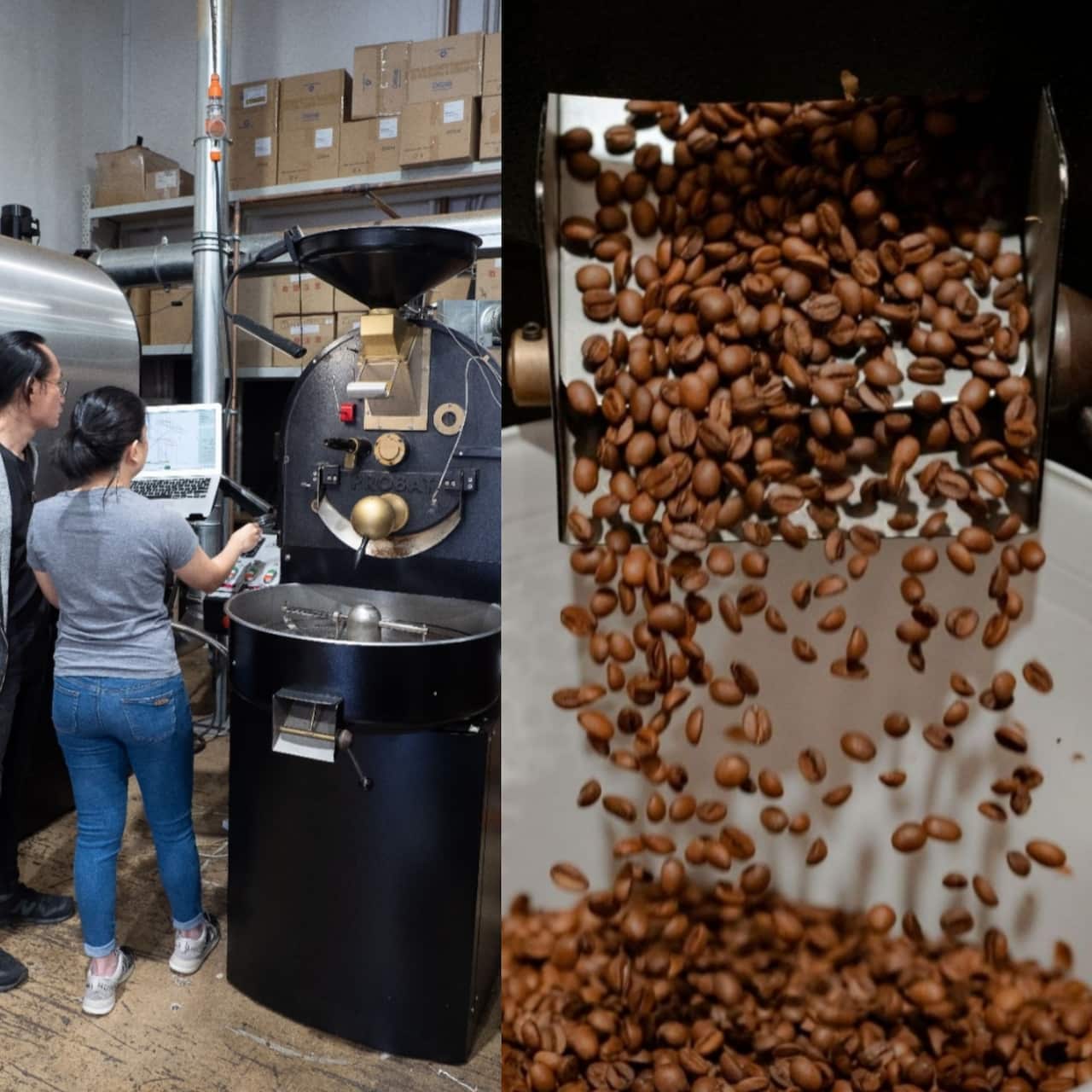 Coffee belt, filipino coffee, coffee