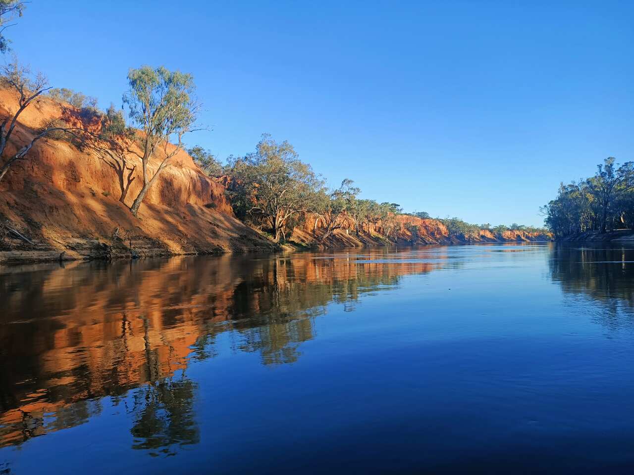 Murray River view