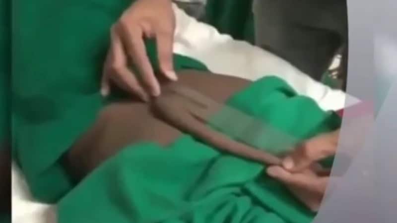 The tail grew to 8 inches long