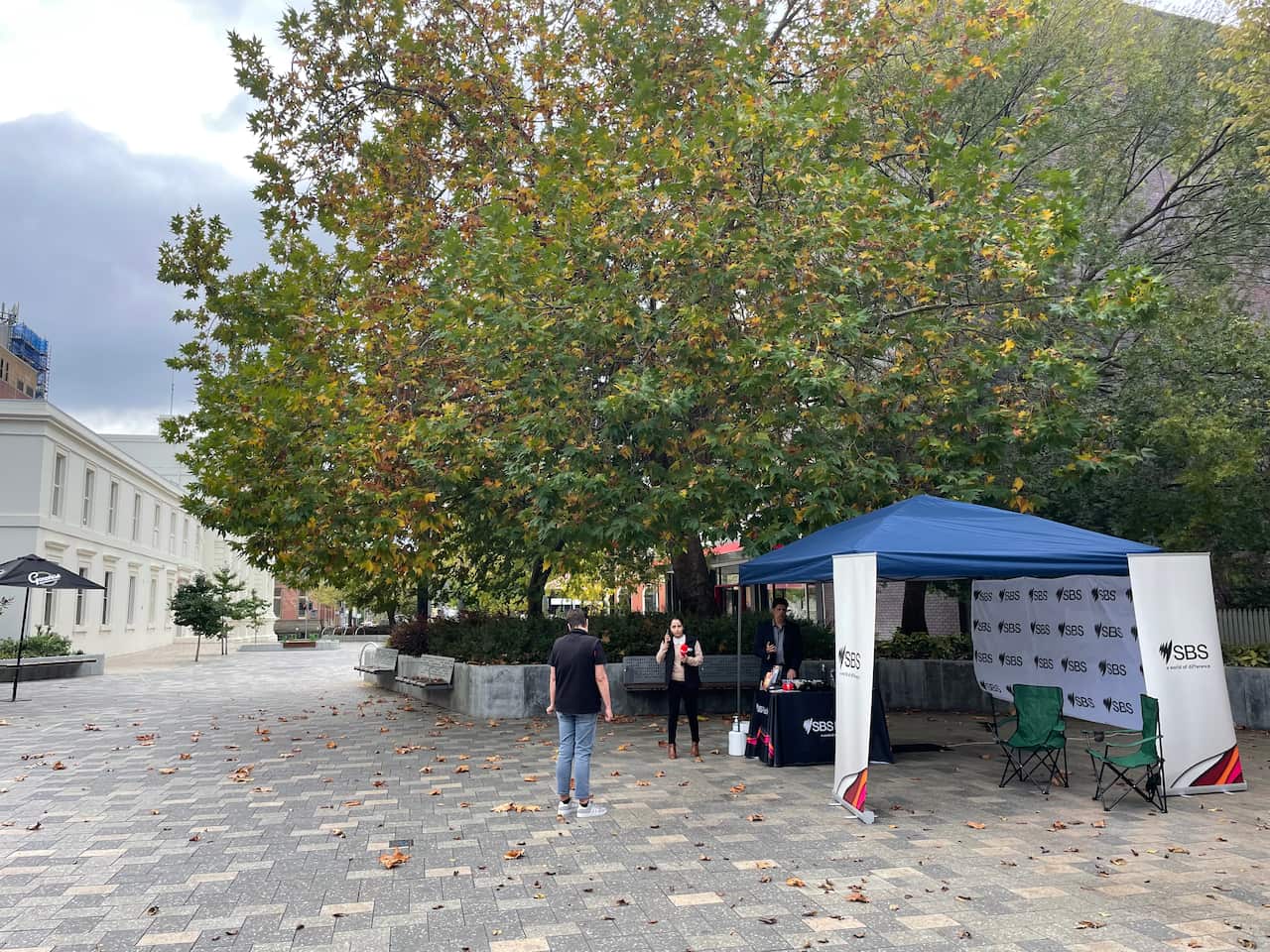 SBS塔州朗塞斯顿选举交流会